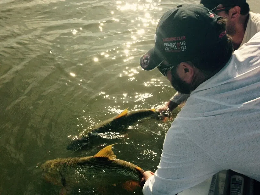 Paisaje de montaña 5