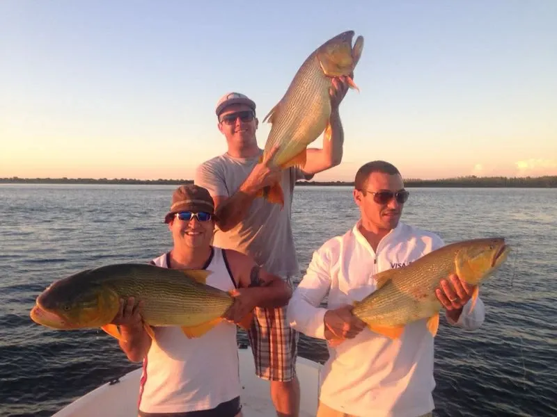 Paisaje de montaña 9