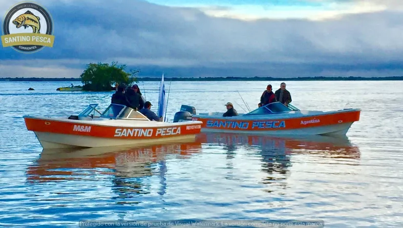 Paisaje de montaña 11