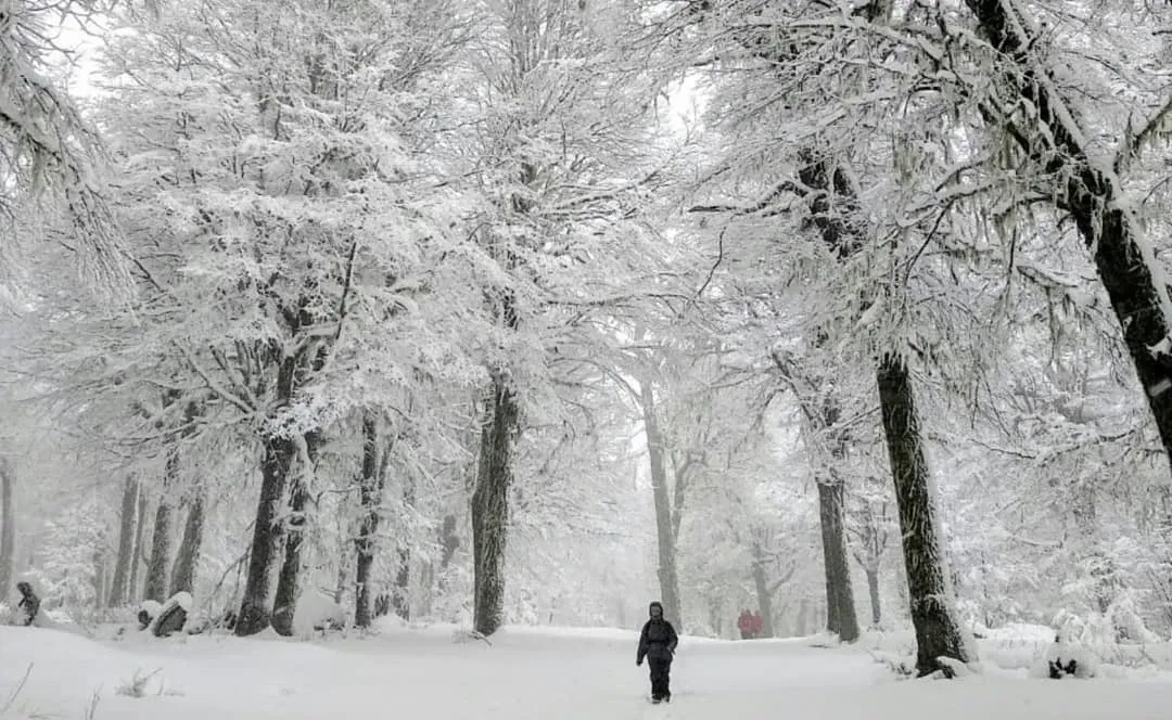 Paisaje de montaña 5
