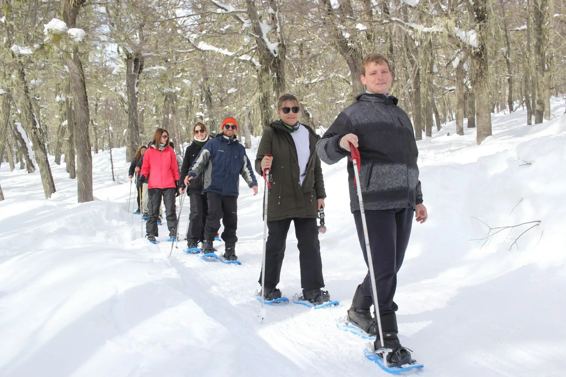 Paisaje de montaña 9