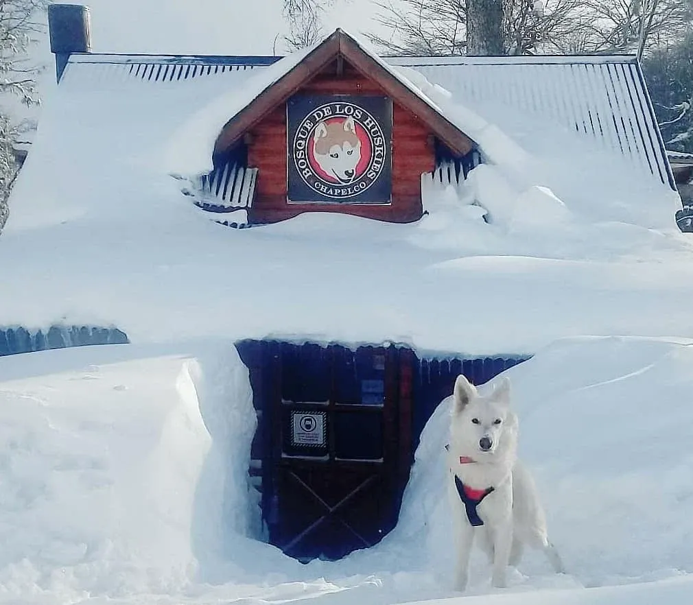 Paisaje de montaña 4