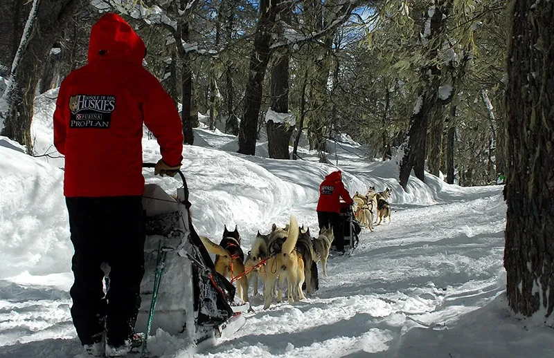 Paisaje de montaña 5