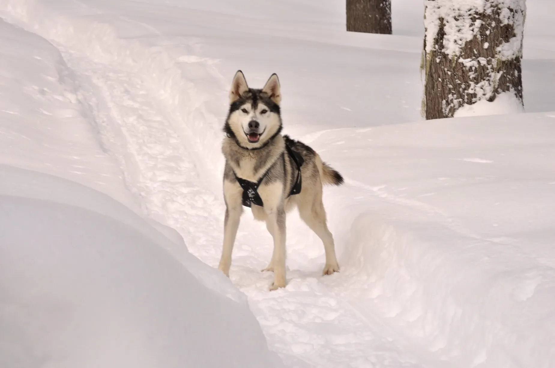 Paisaje de montaña 8