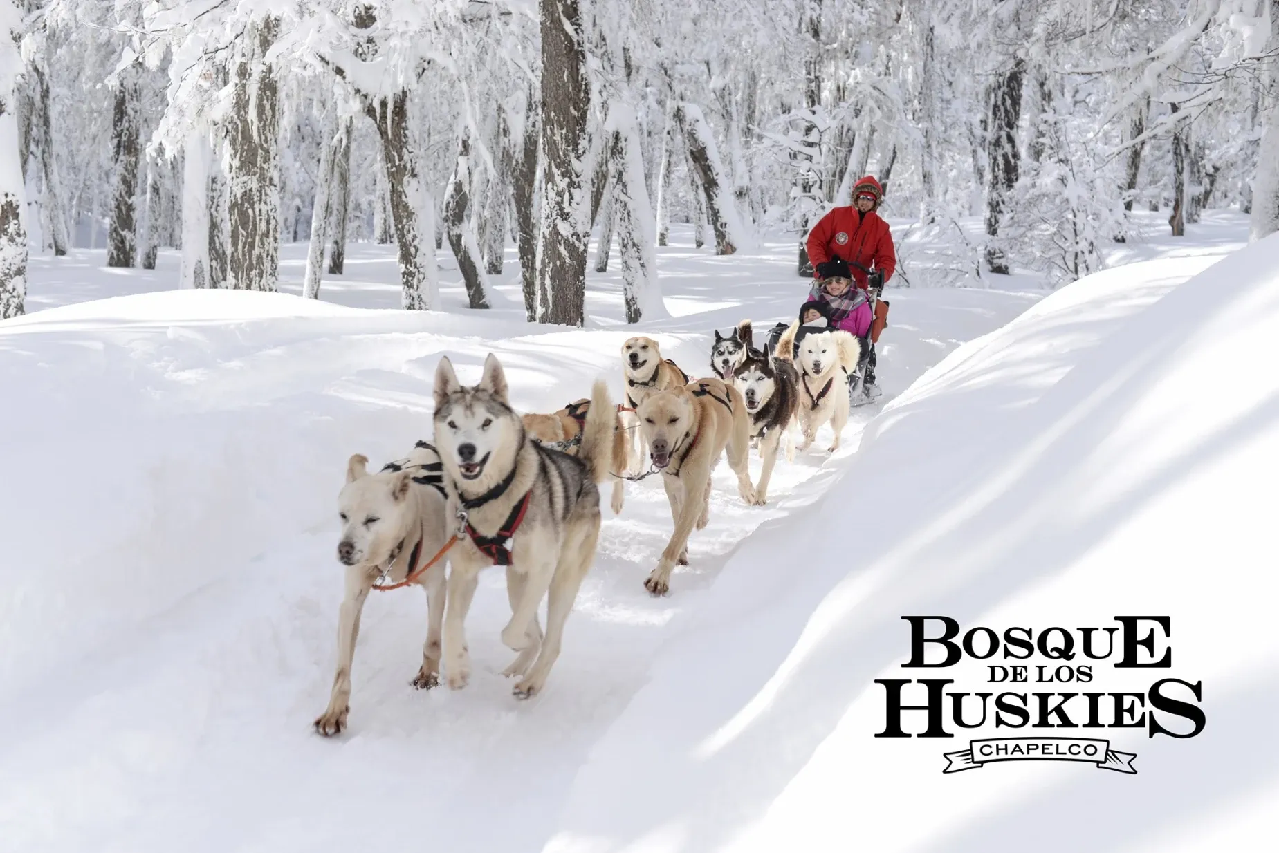 Paisaje de montaña 9