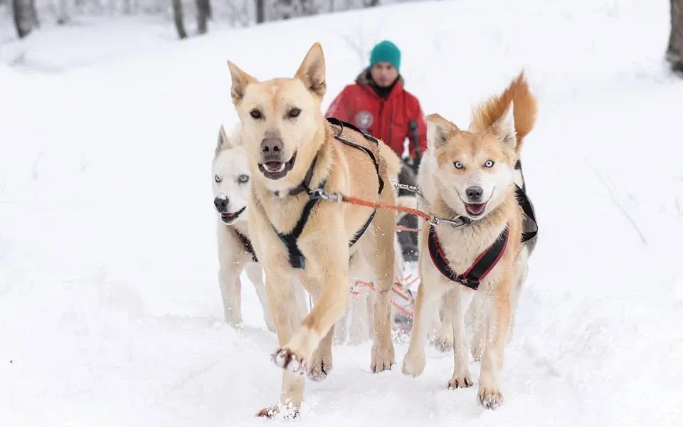 Paisaje de montaña 1