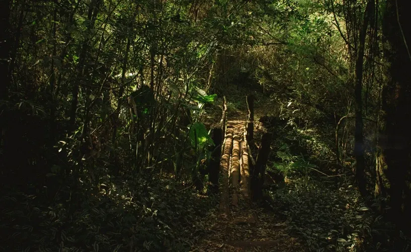 Paisaje de montaña 4