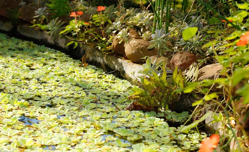 Paisaje de montaña 5