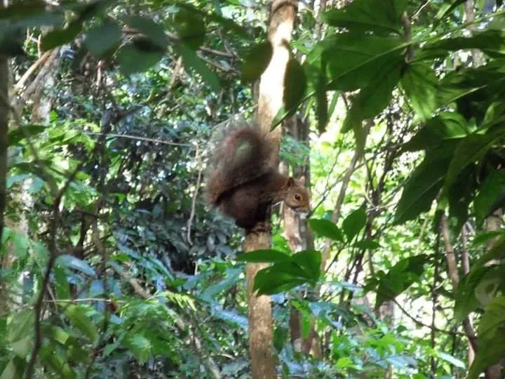 Paisaje de montaña 9