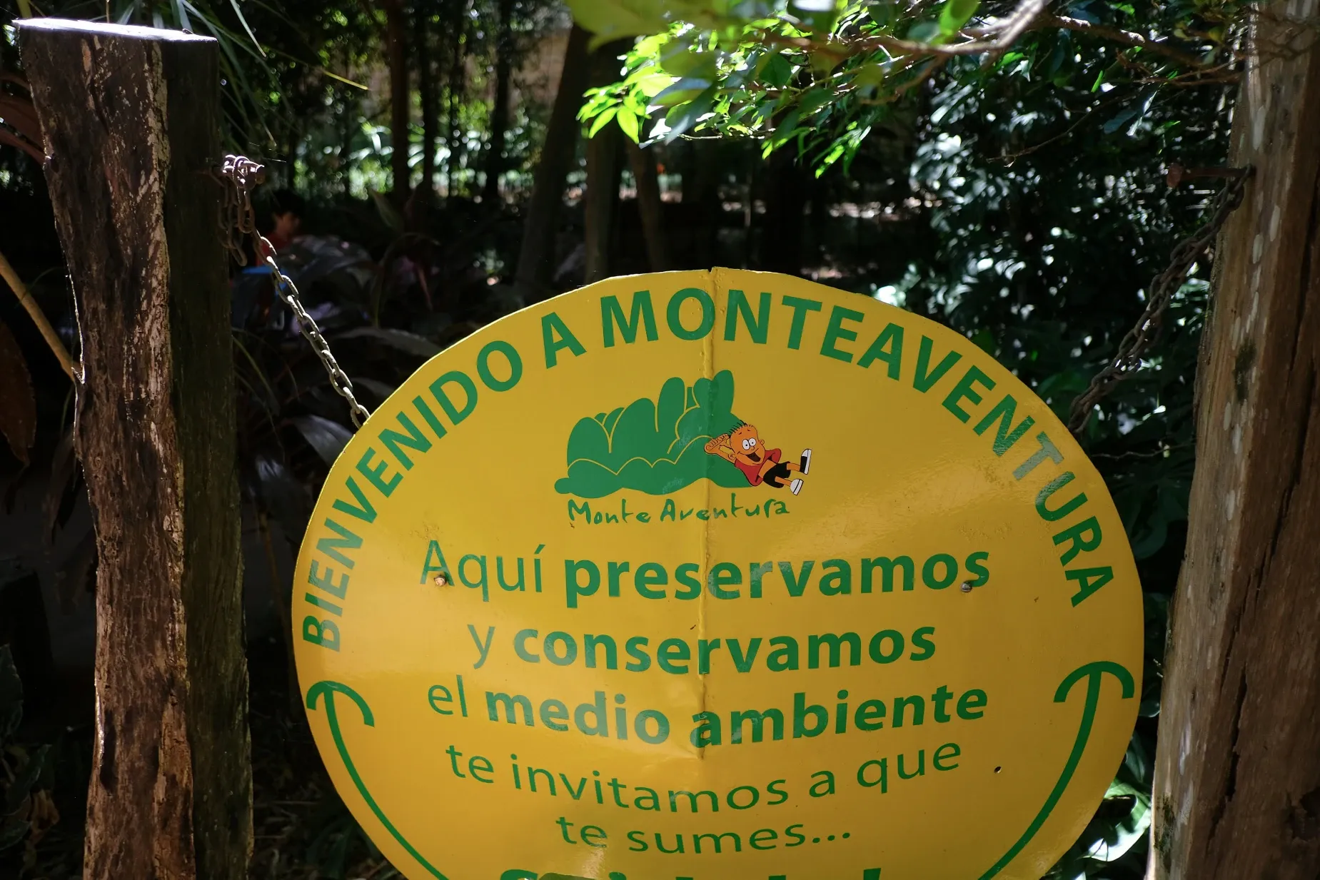 Paisaje de montaña 12