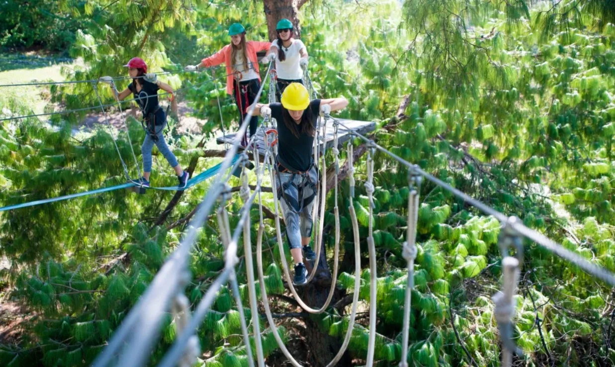 Paisaje de montaña 12