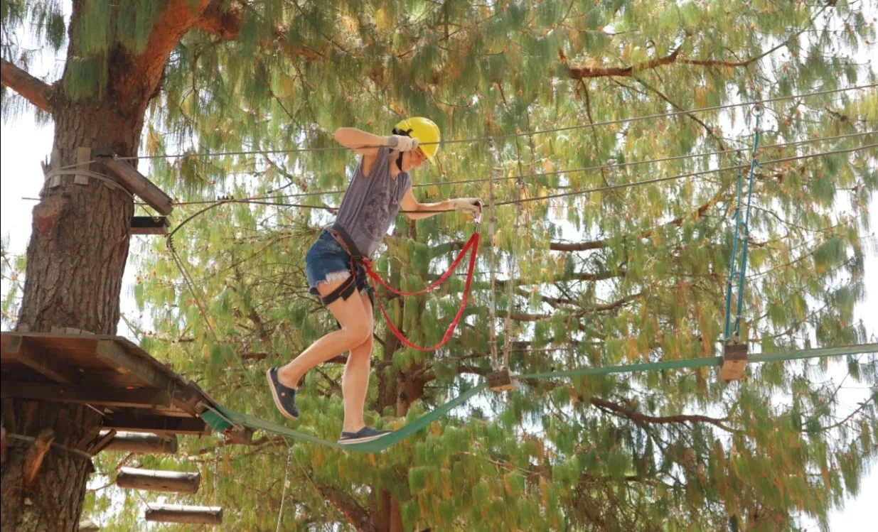 Paisaje de montaña 14