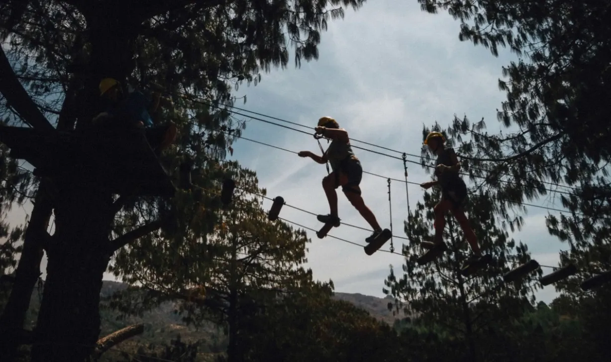 Paisaje de montaña 15