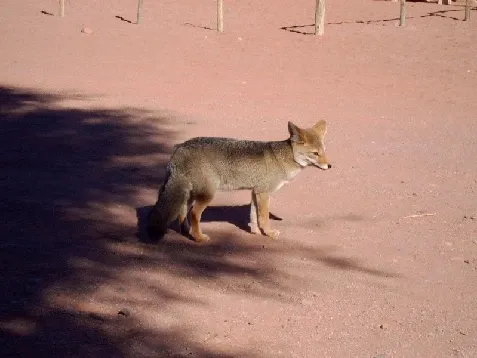 Paisaje de montaña 3