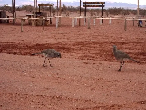 Paisaje de montaña 12