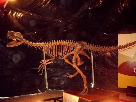 Paisaje de montaña 26