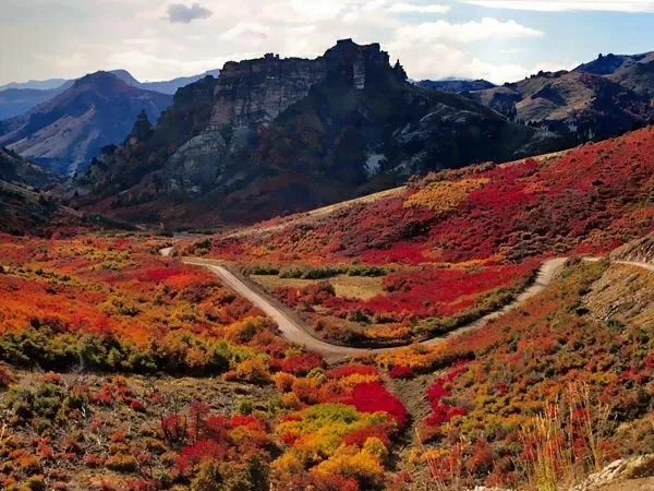 Paisaje de montaña 1