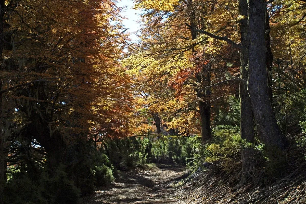 Paisaje de montaña 3