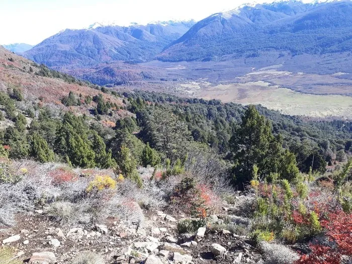 Paisaje de montaña 8