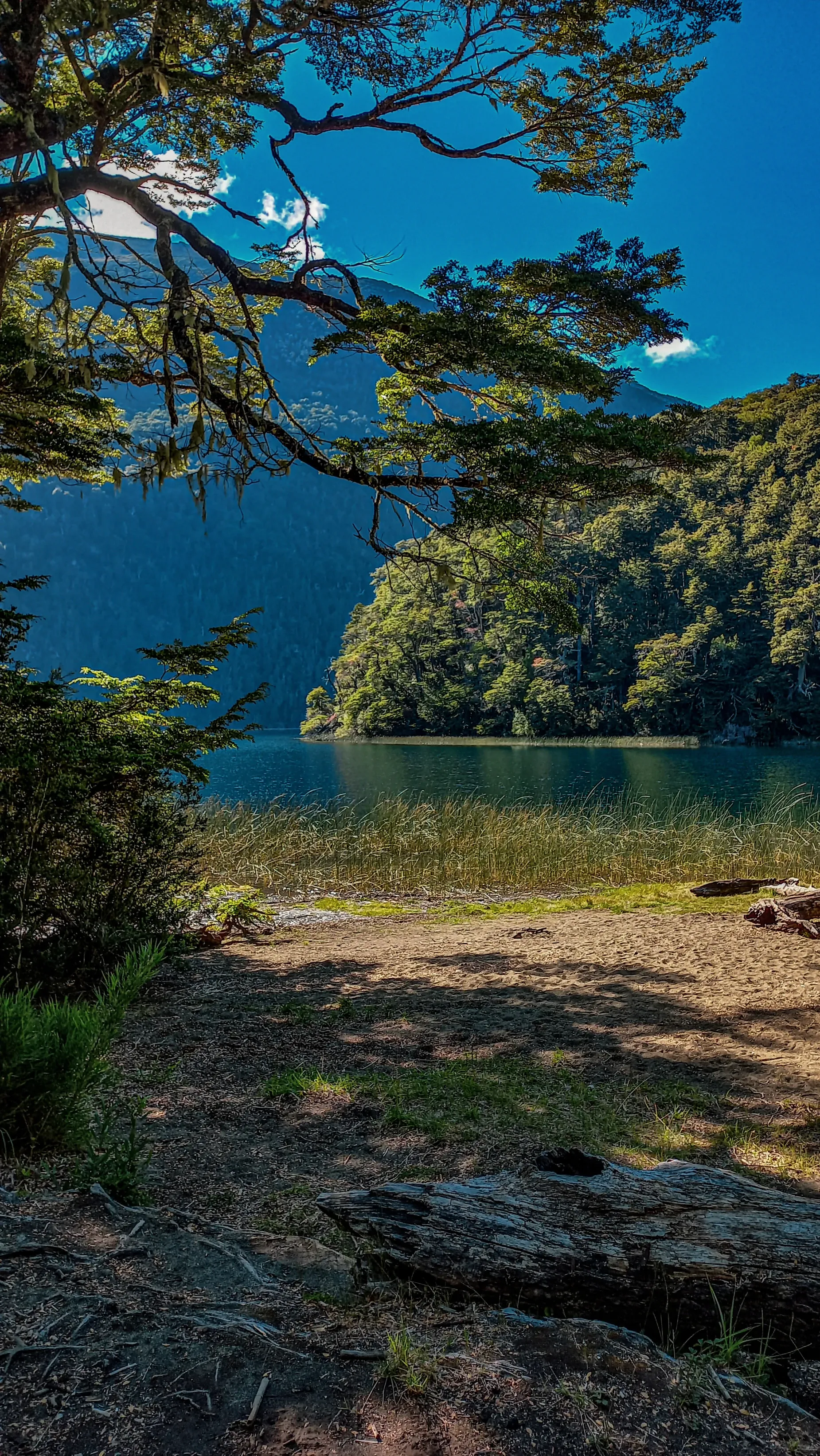 Paisaje de montaña 4