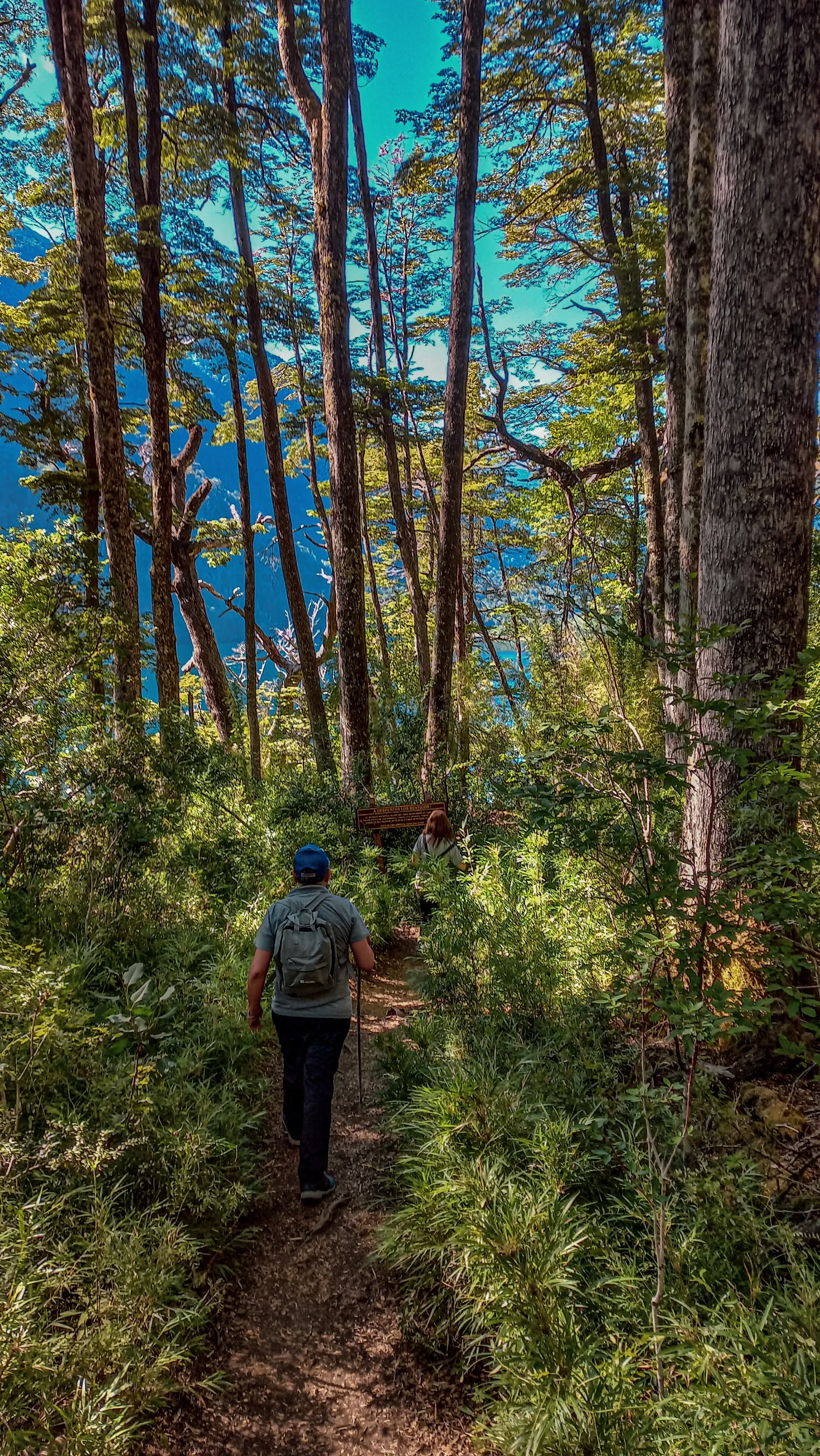 Paisaje de montaña 5