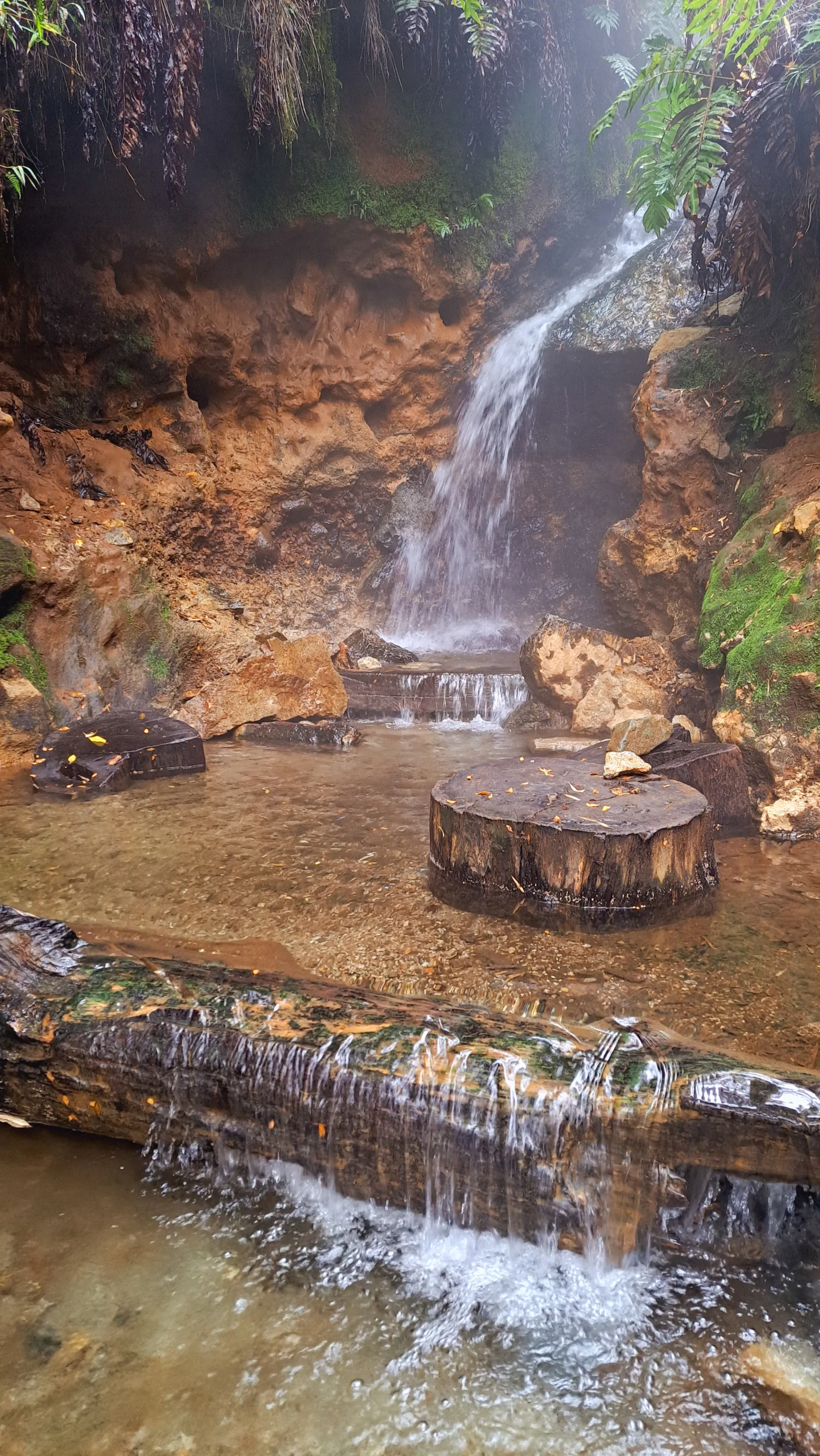 Paisaje de montaña 8