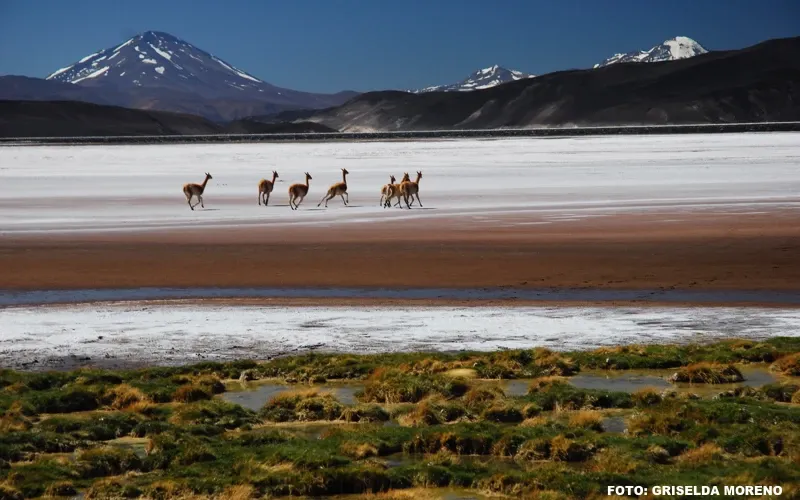 Paisaje de montaña 8