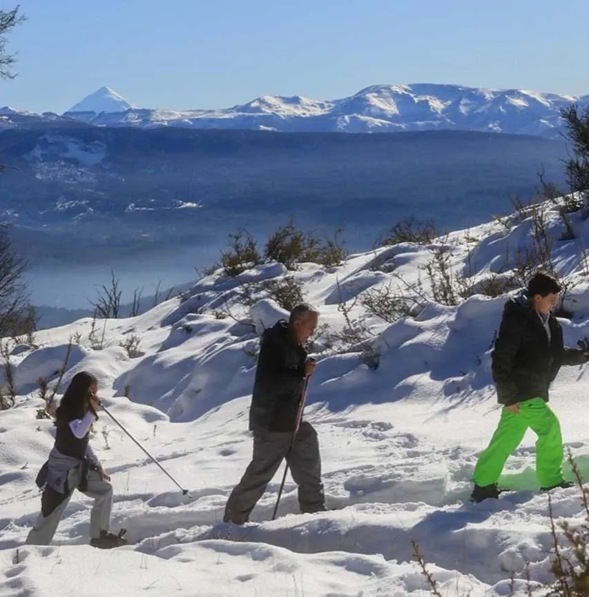 Paisaje de montaña 11