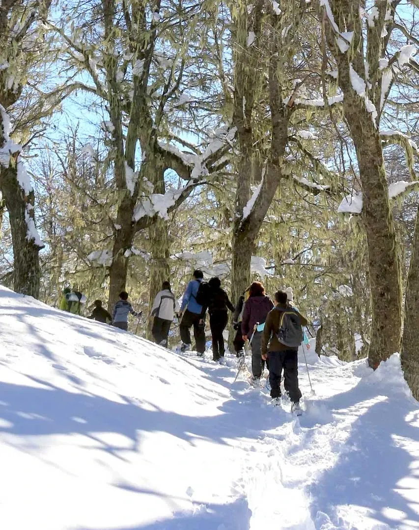 Paisaje de montaña 17