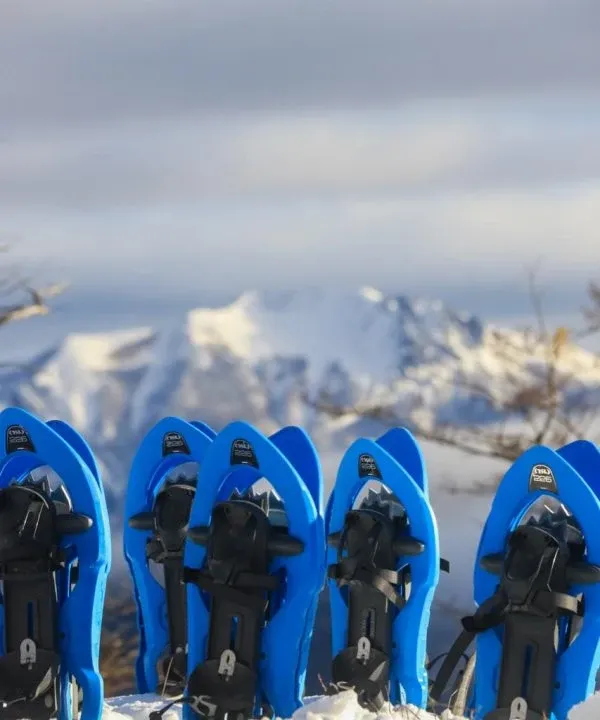 Paisaje de montaña 21