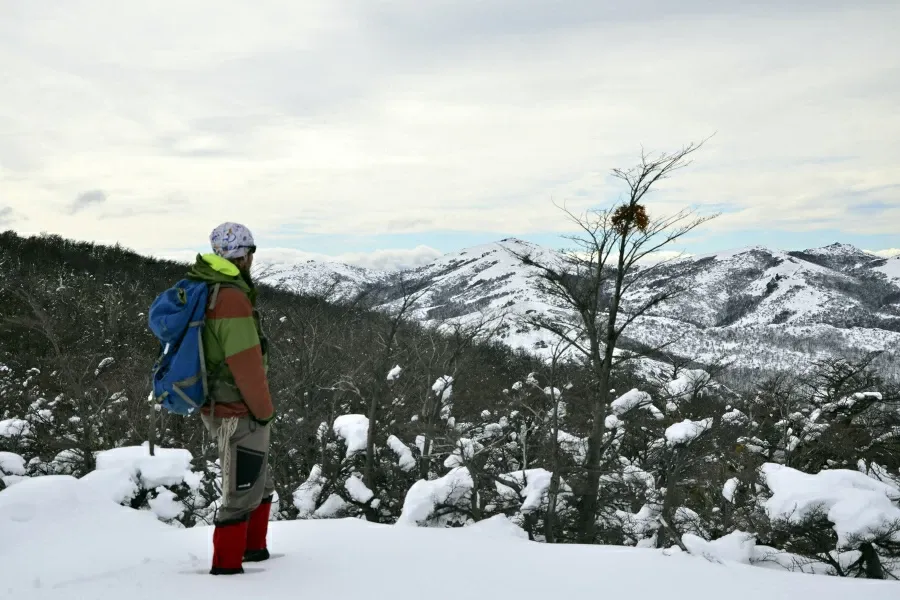 Paisaje de montaña 7