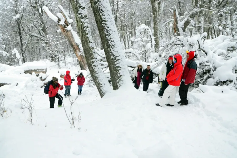 Paisaje de montaña 9