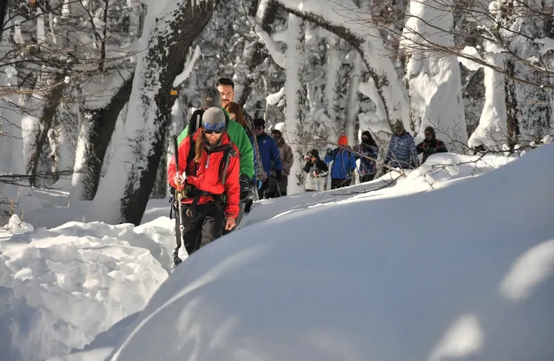 Paisaje de montaña 10