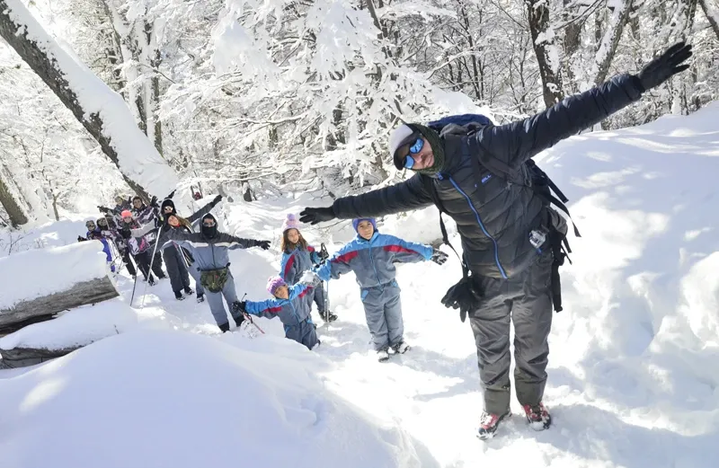 Paisaje de montaña 13