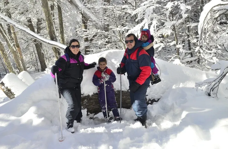 Paisaje de montaña 14