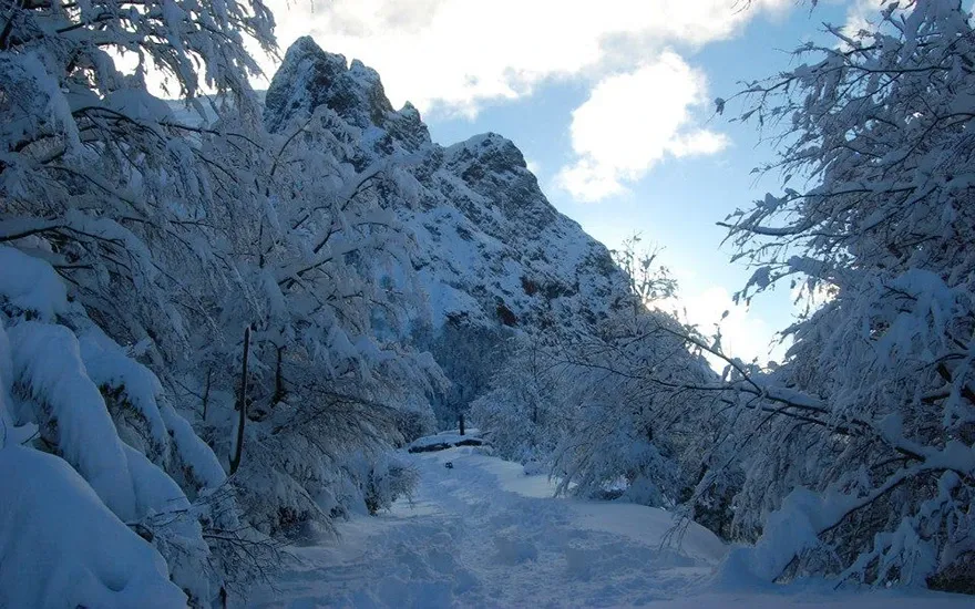 Paisaje de montaña 26