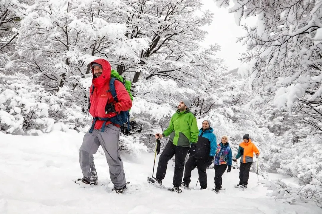 Paisaje de montaña 1