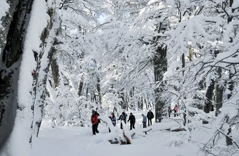 Paisaje de montaña 9