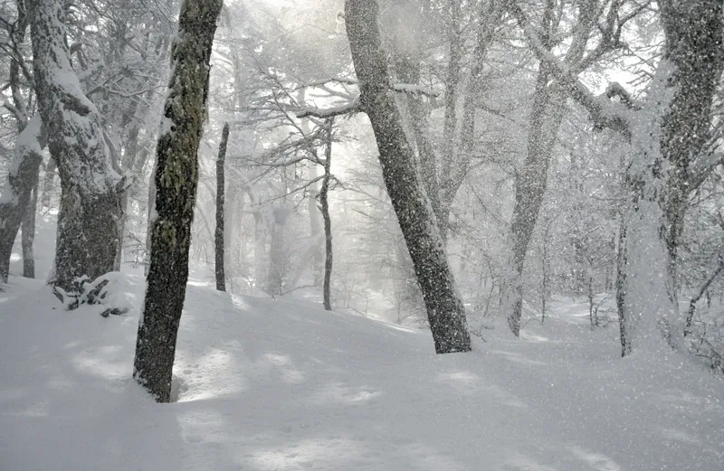 Paisaje de montaña 11