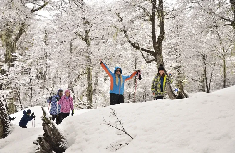 Paisaje de montaña 12