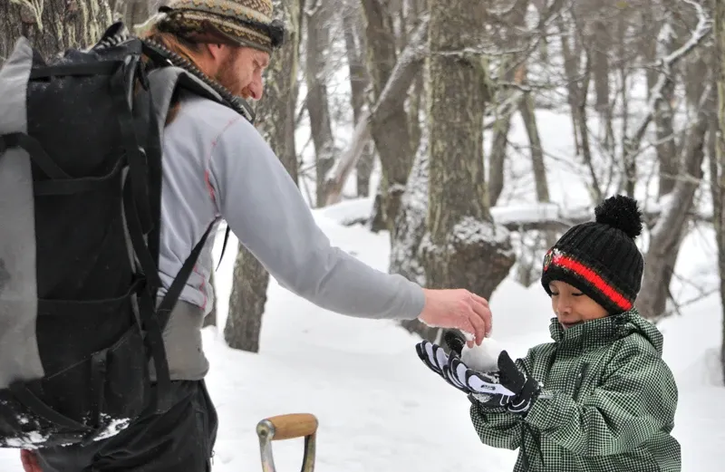 Paisaje de montaña 14