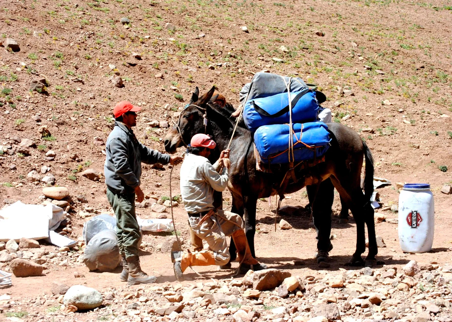 Paisaje de montaña 7