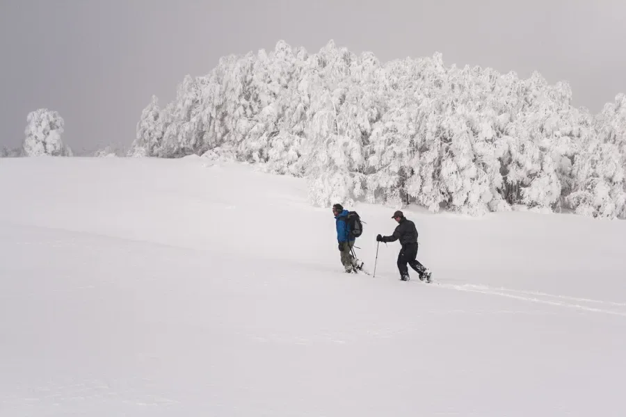Paisaje de montaña 6
