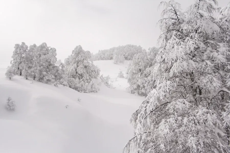 Paisaje de montaña 7