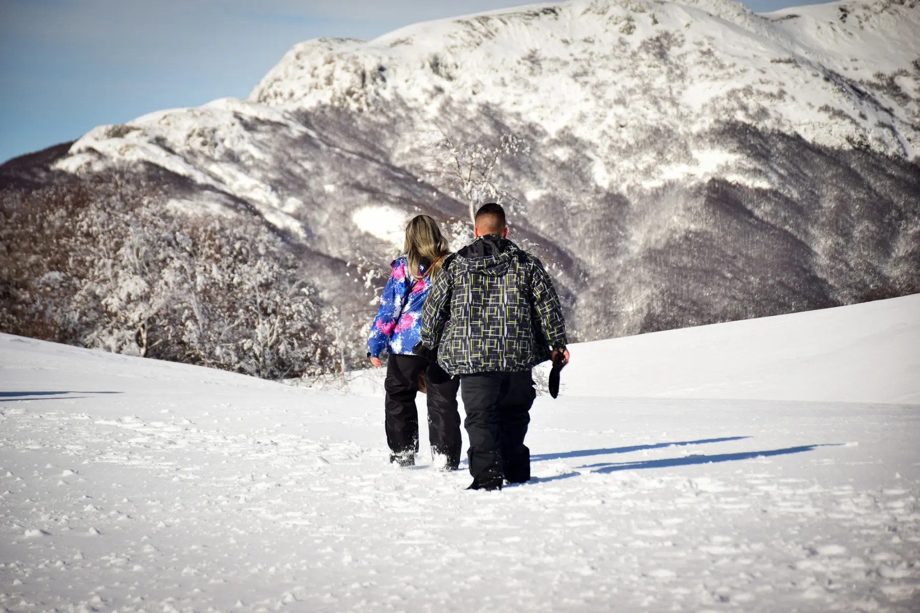 Paisaje de montaña 11