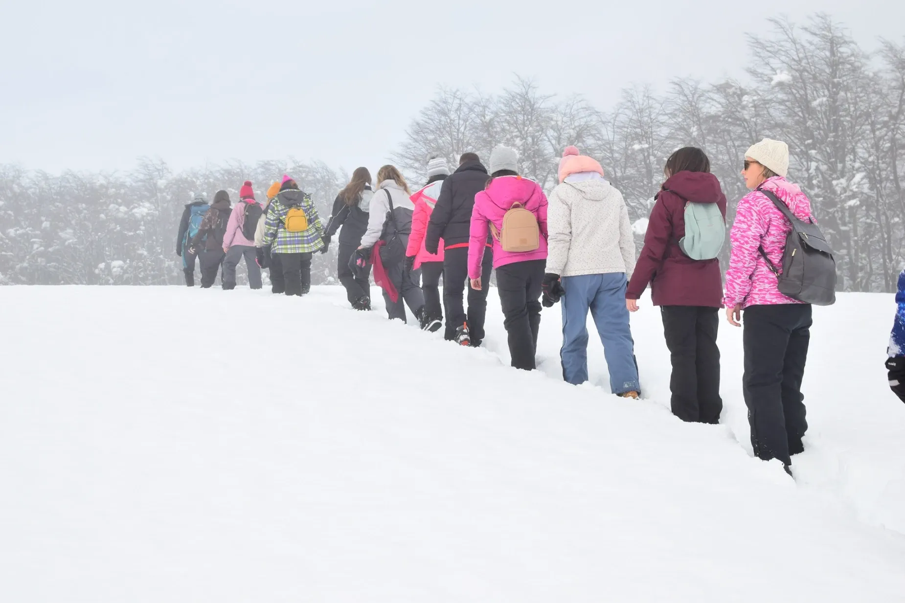 Paisaje de montaña 12