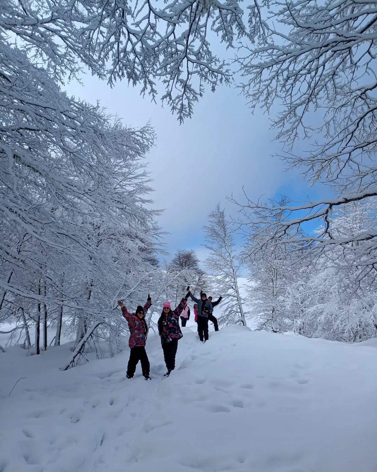 Paisaje de montaña 16