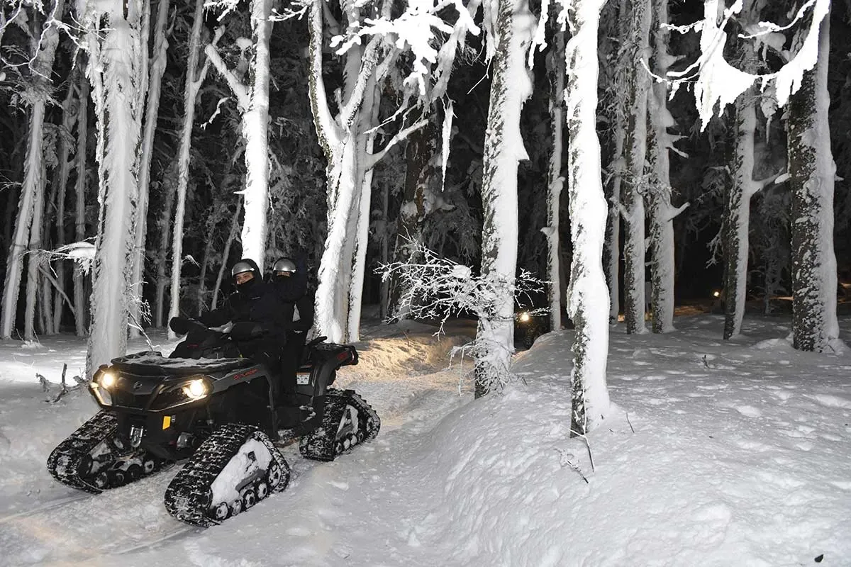 Paisaje de montaña 15