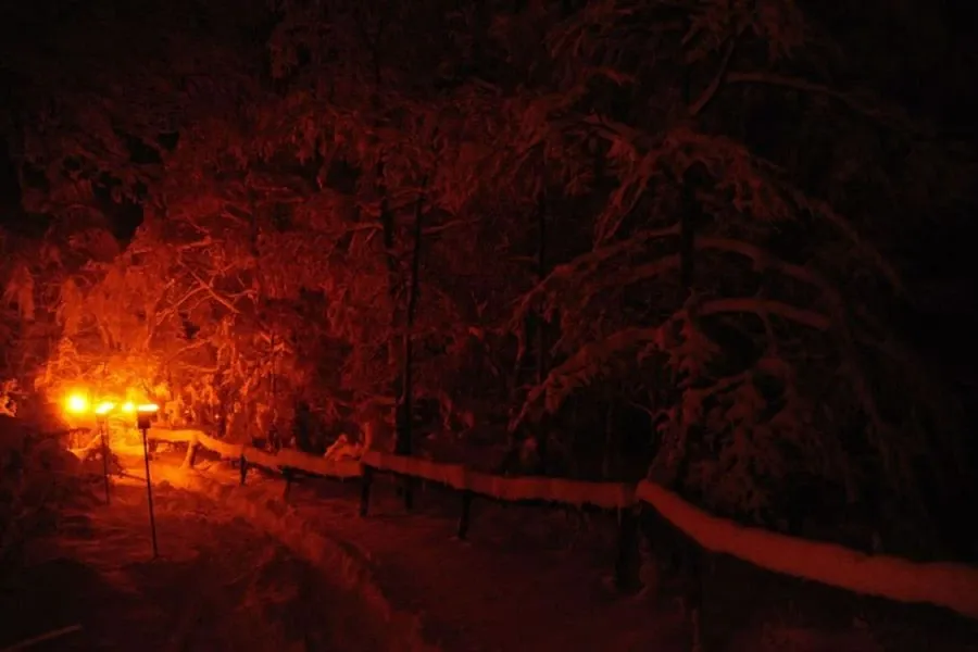 Paisaje de montaña 22