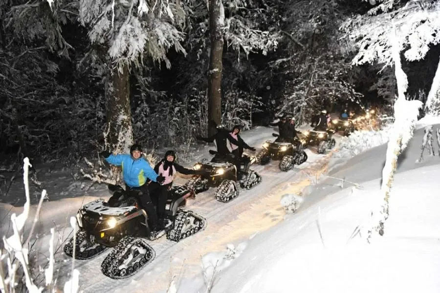 Paisaje de montaña 26